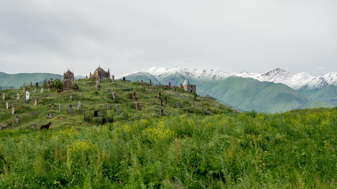 <div class="text"></div>