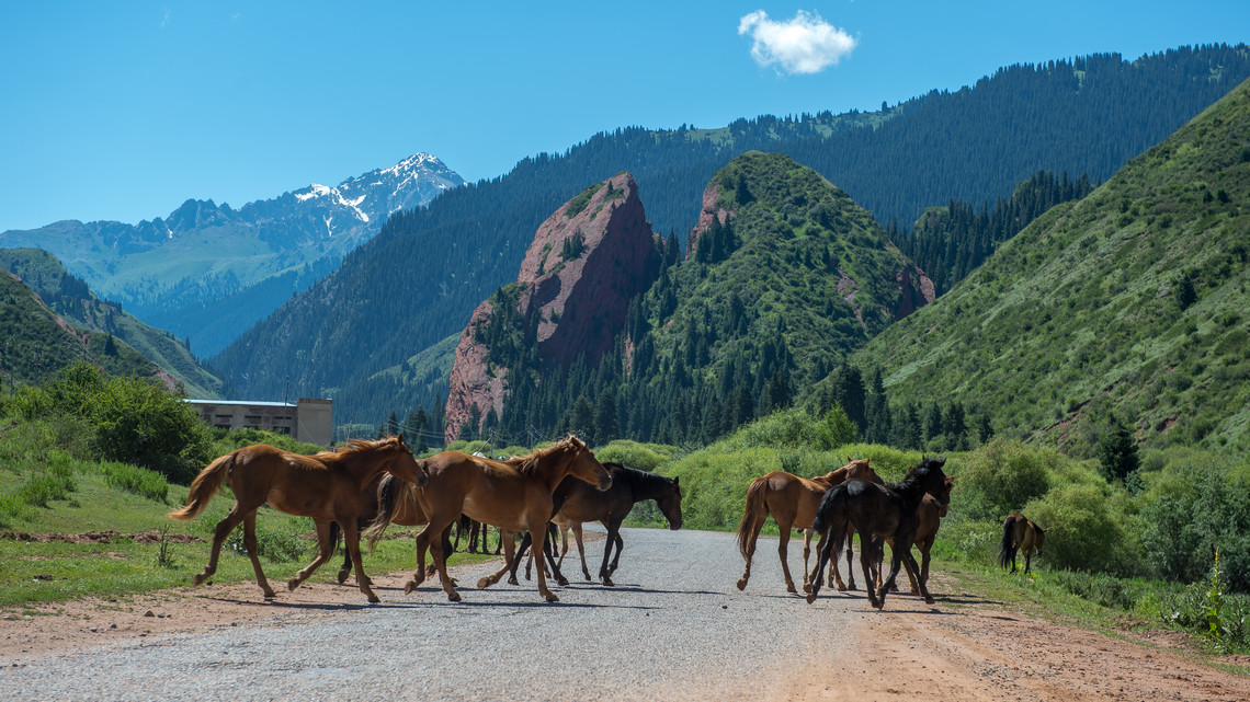 <div class="text"></div>