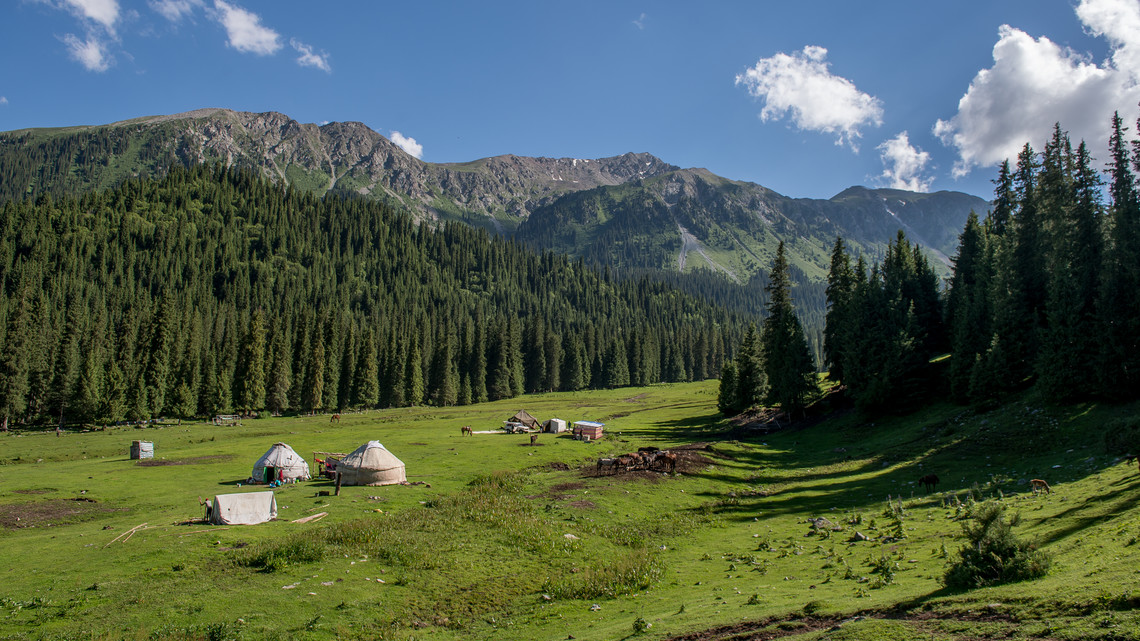 <div class="text"></div>