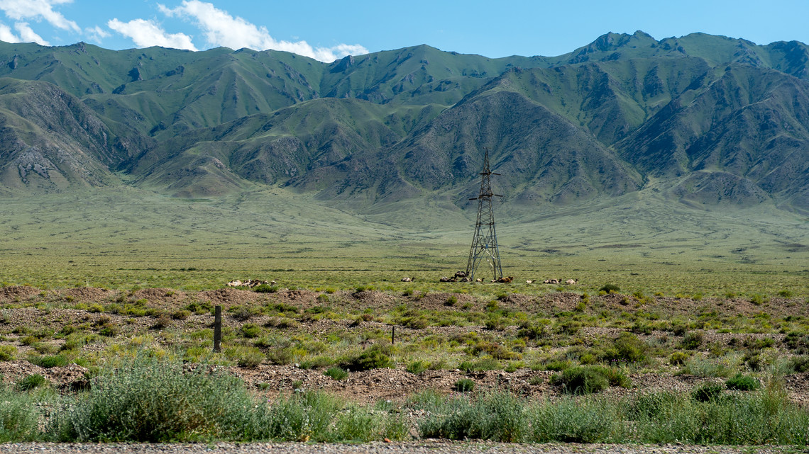 <div class="text"></div>