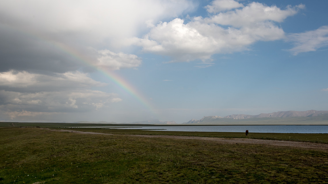 <div class="text"></div>