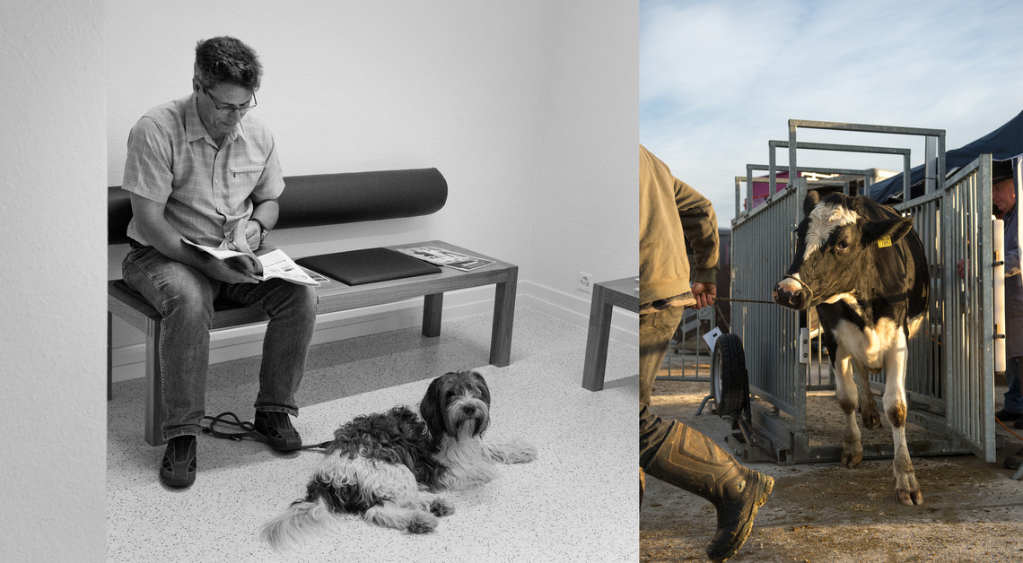 <div class="text"></div>