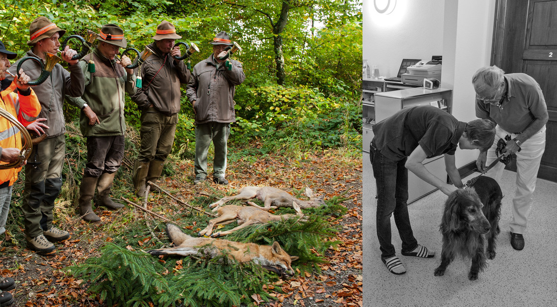 <div class="text"></div>