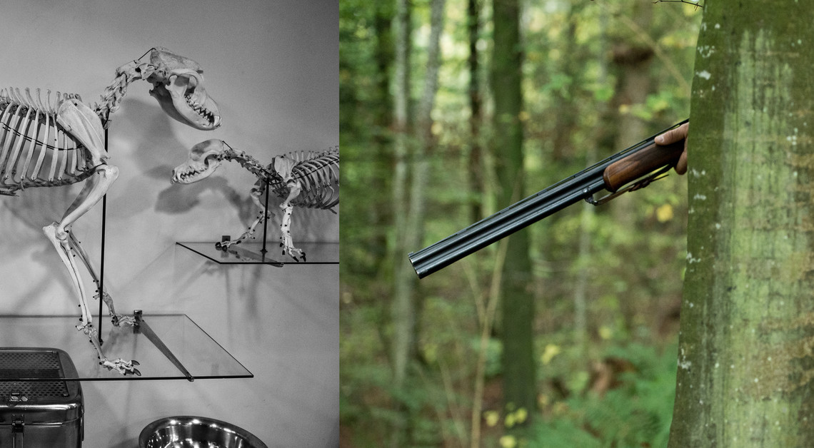 <div class="text"></div>